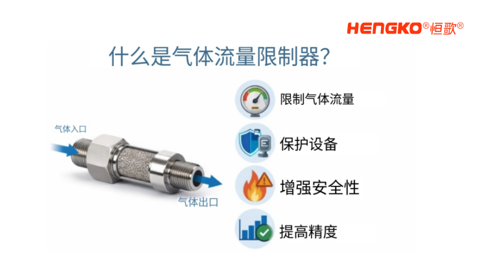 气体流量限流器1