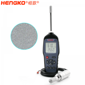 HG970 可拆换探头湿度巡检仪  工业型露点测量仪