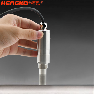 便携式温湿度露点记录仪_恒歌 ±2%RH高精度天然气管道工业在线式露点仪