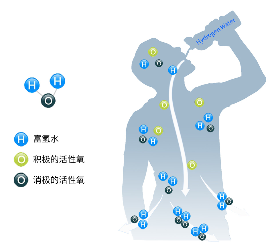 富氢水机配件