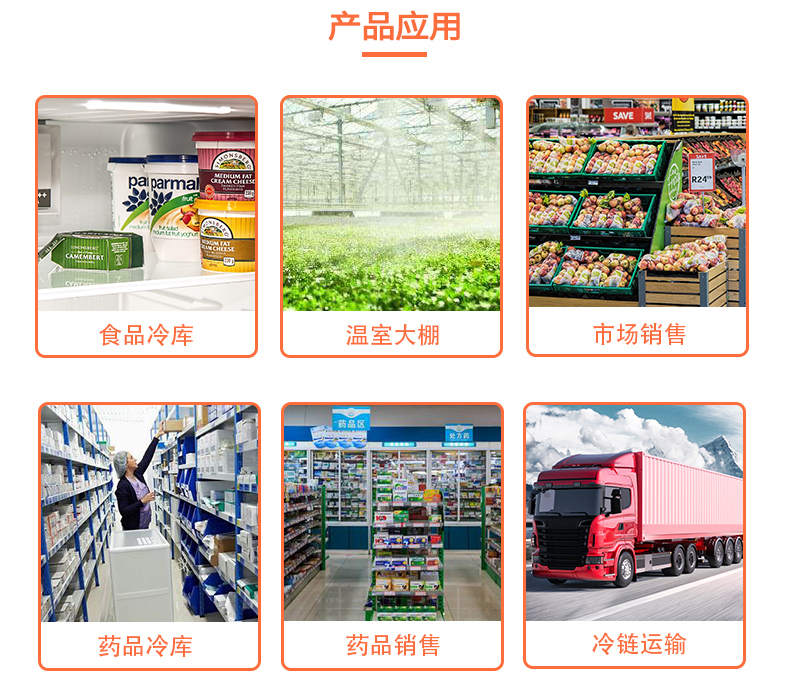 无线温湿度记录仪